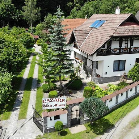 Pension Casa Maria ソバタ エクステリア 写真